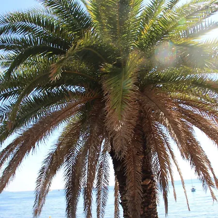 Hotel La Villa Patricia - Charme Et Tradition Villefranche-sur-Mer