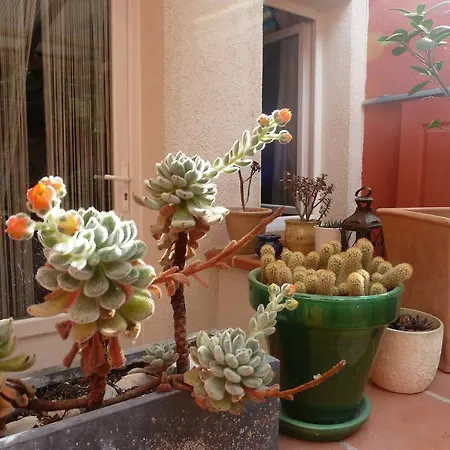 Hotel La Villa Patricia - Charme Et Tradition